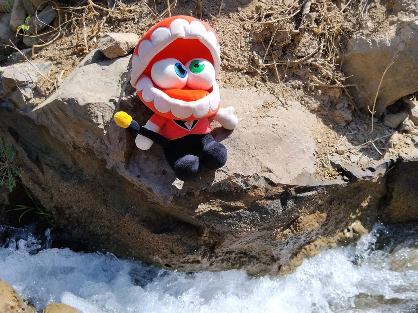 Customer photo review of Caine Plush