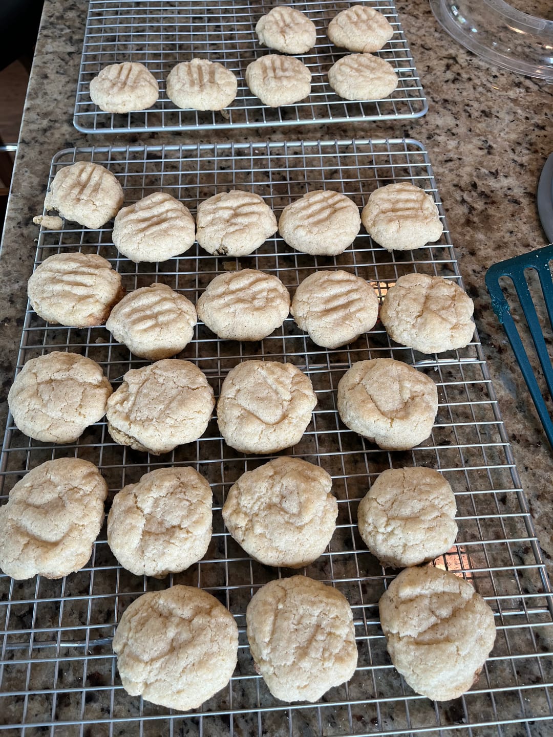 Customer photo review of gfJules Gluten Free Snickerdoodle Mix