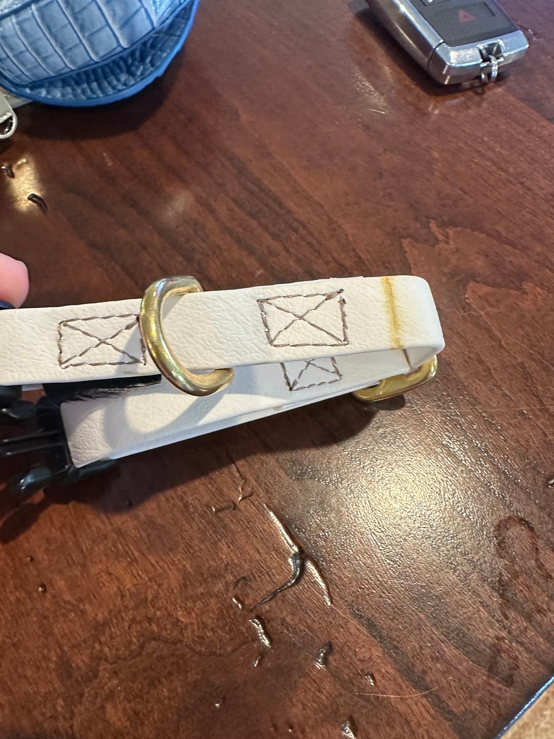 Customer photo review of Biothane® Leather Alternative Dog & Cat Collar – Waterproof & Durable | White