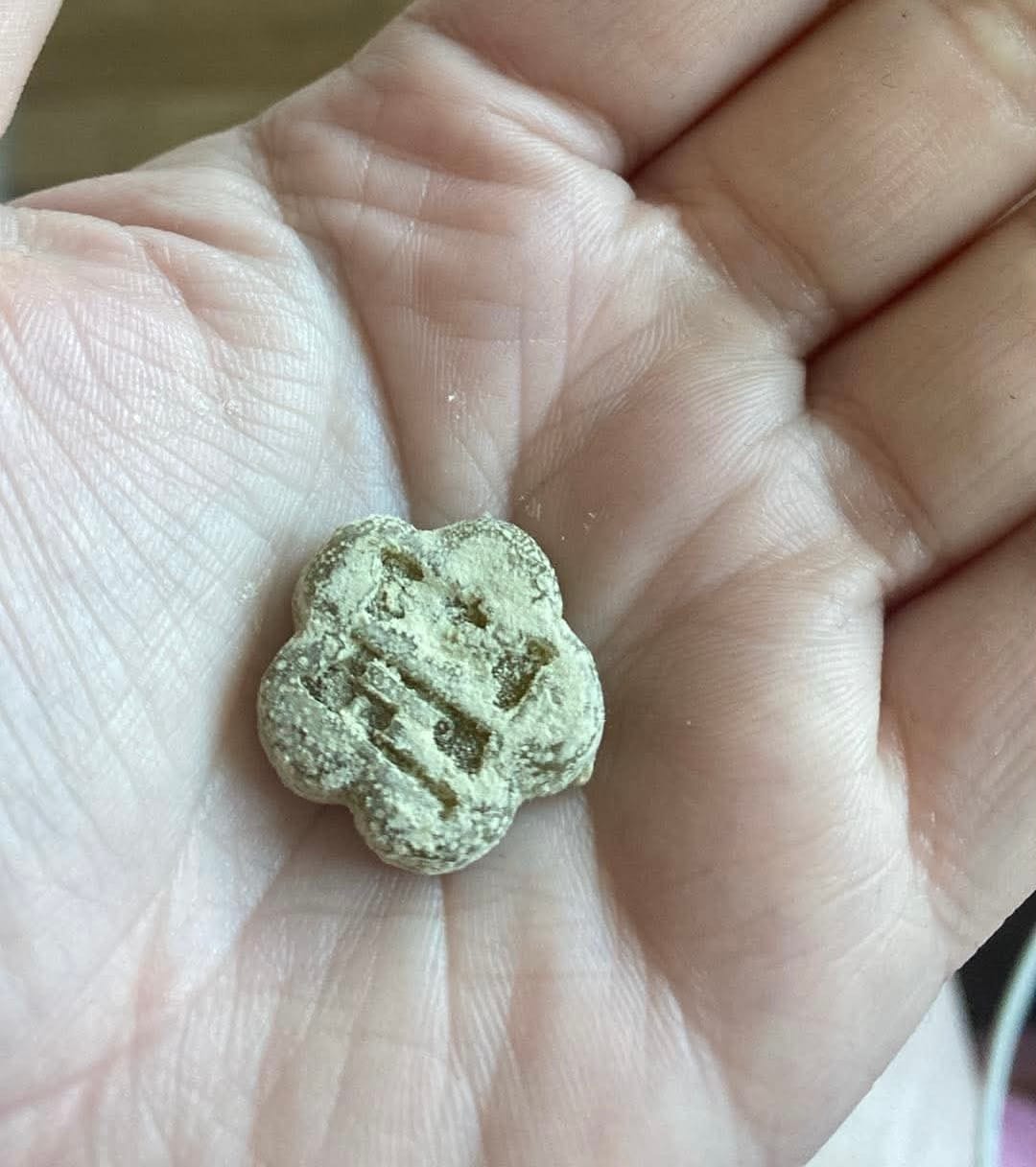 Customer photo review of Matcha Mini