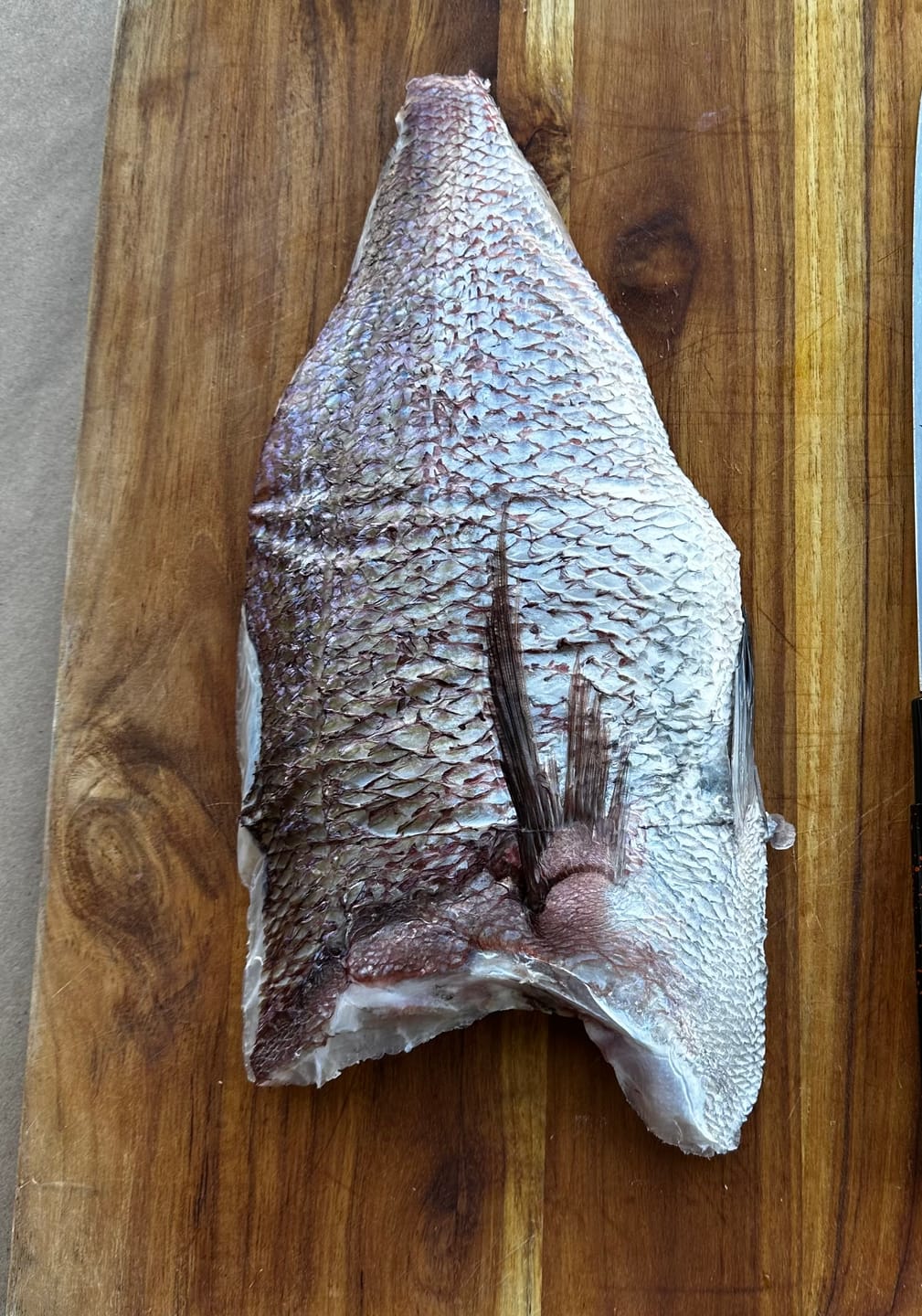 Customer photo review of Japanese Red Sea Bream (Madai) - Kagoshima Tai Fillet (1.1 LBS)