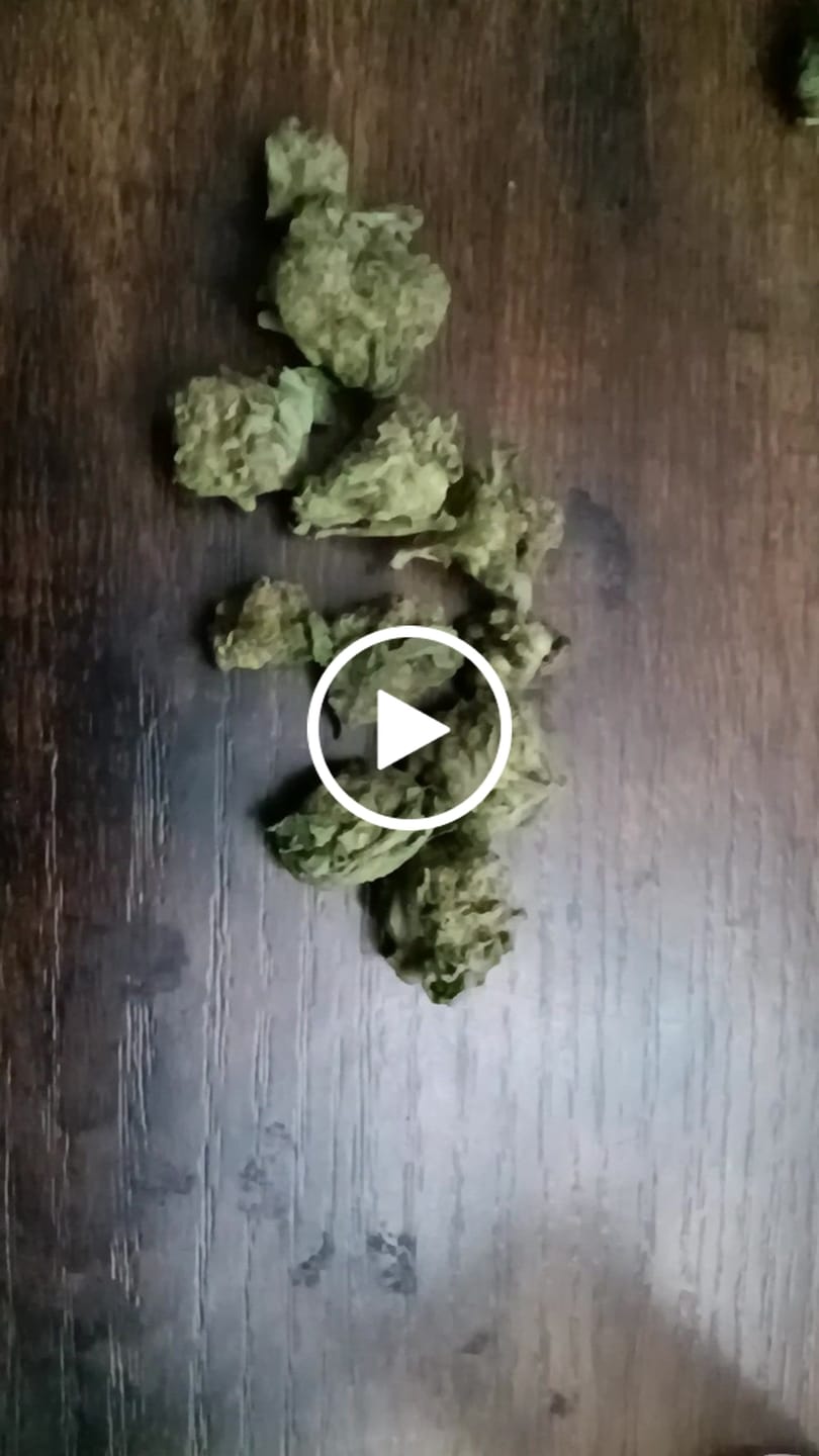 Customer video review of 1 Oz Cheap THCA Small Buds