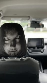 Customer photo review of NightScare™ Headrest Cover