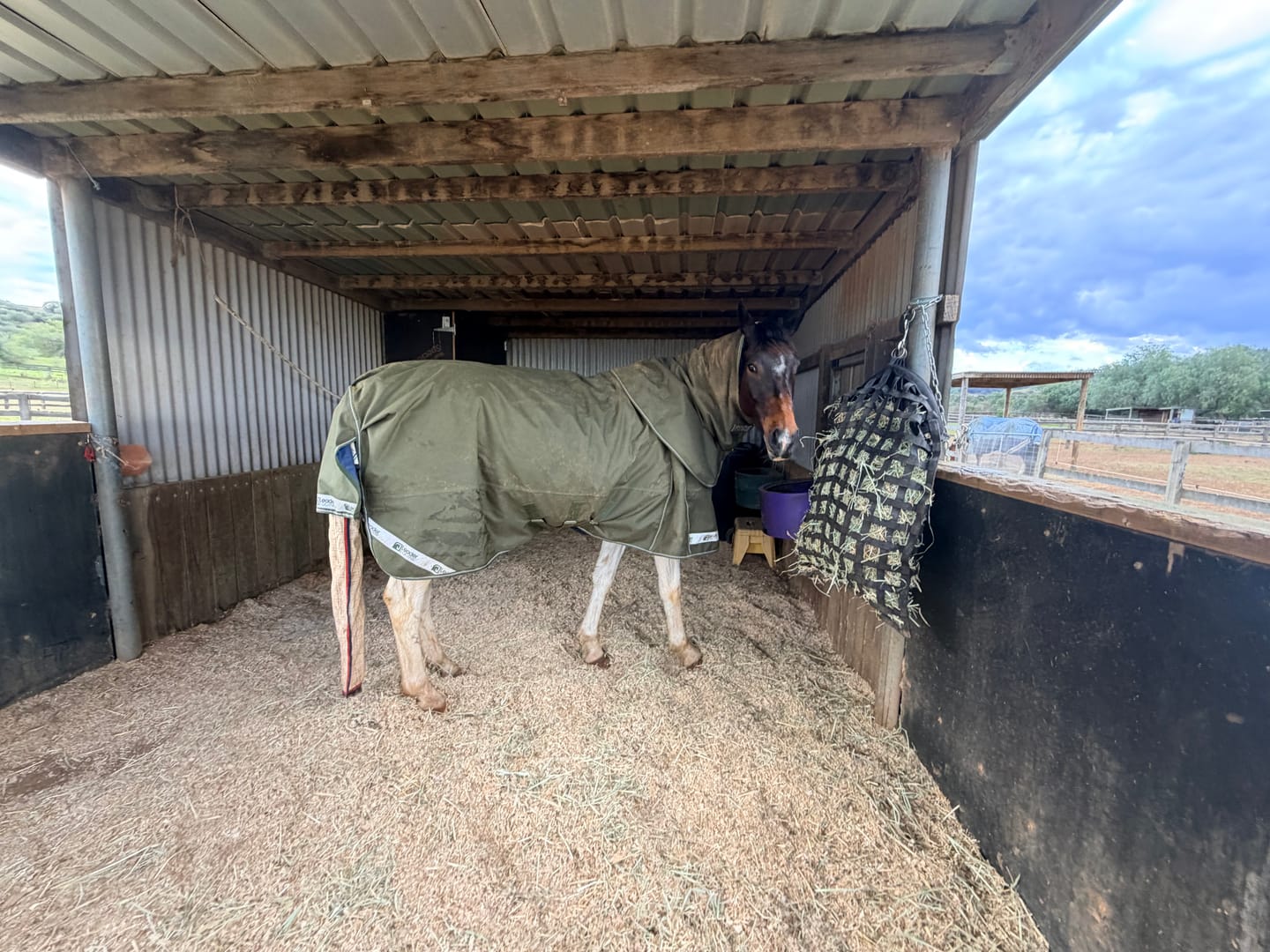 Customer photo review of LE Boxter Turnout 100g