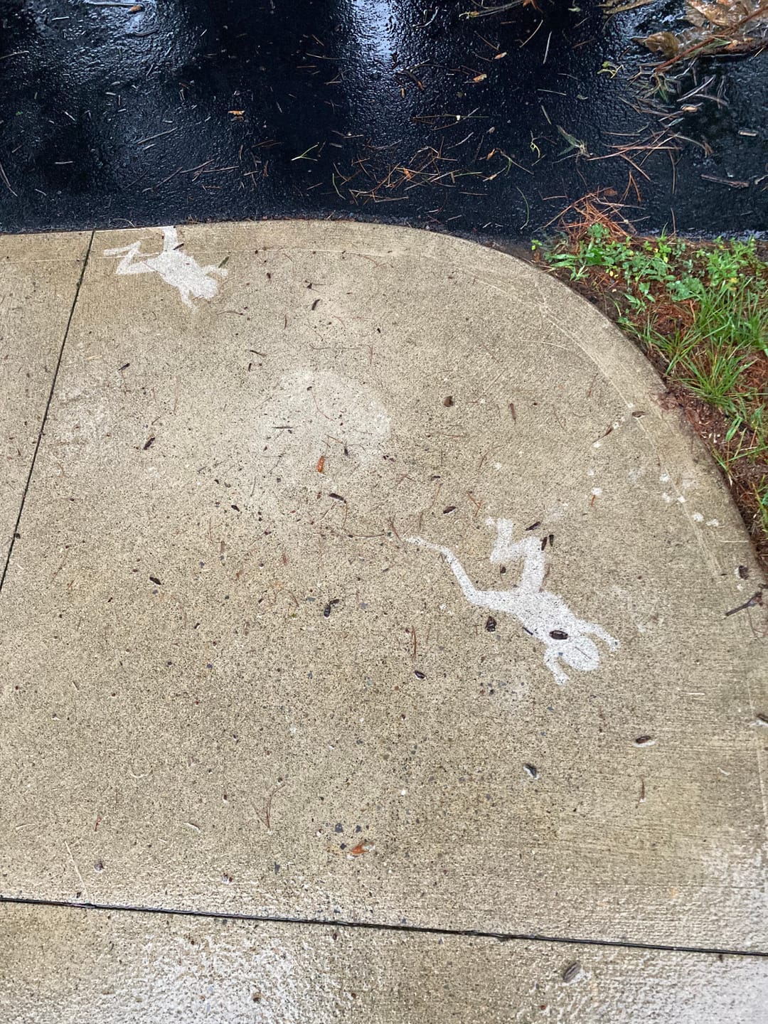 Customer photo review of Invisible Spray 2.0 Starter Kit (10-15 sq ft)
