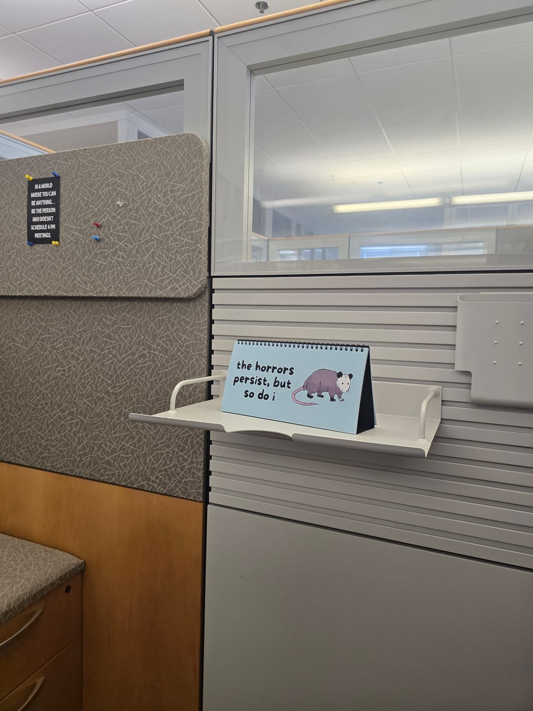 Customer photo review of Opossums At Work Desk Sign