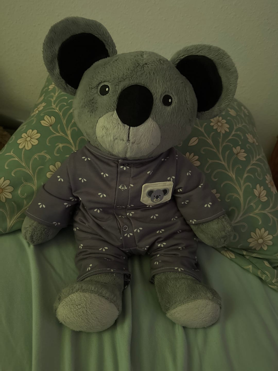 Customer photo review of Lotgenootje Koala 2kg