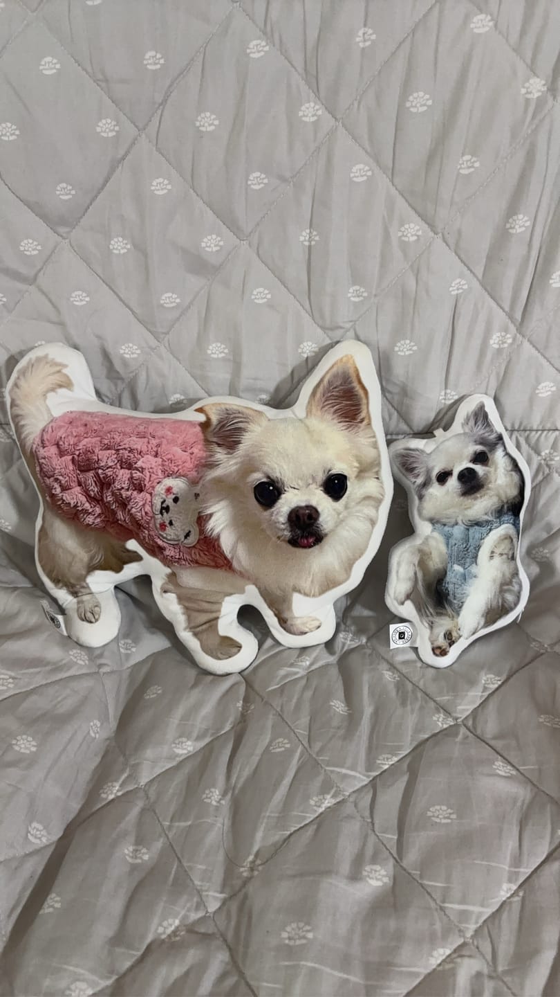 Customer photo review of 世界にひとつだけ♪好きな写真で作るオーダーメイドクッション（20～80cm）