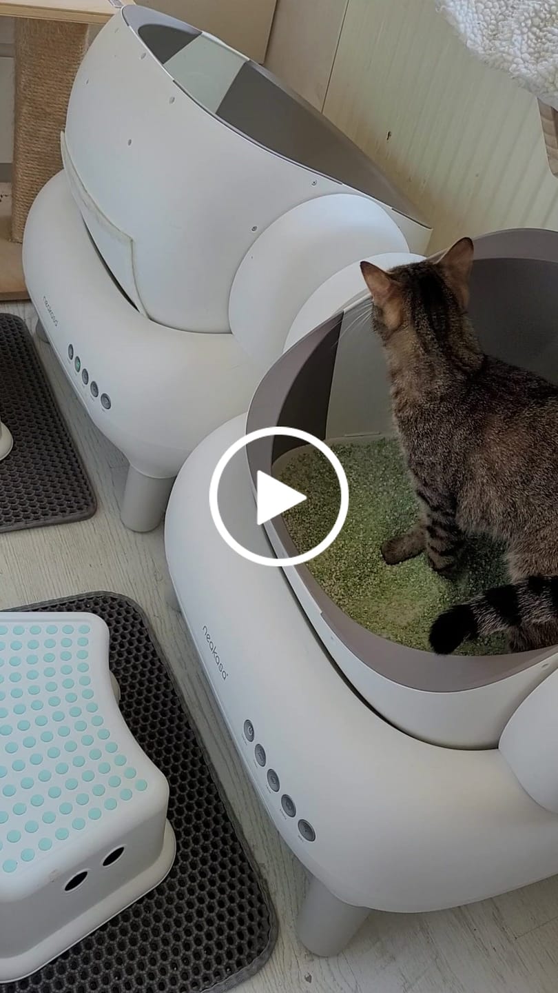 Customer video review of Neakasa M1 Lite Plus Open-Top Self-Cleaning Cat Litter Box
