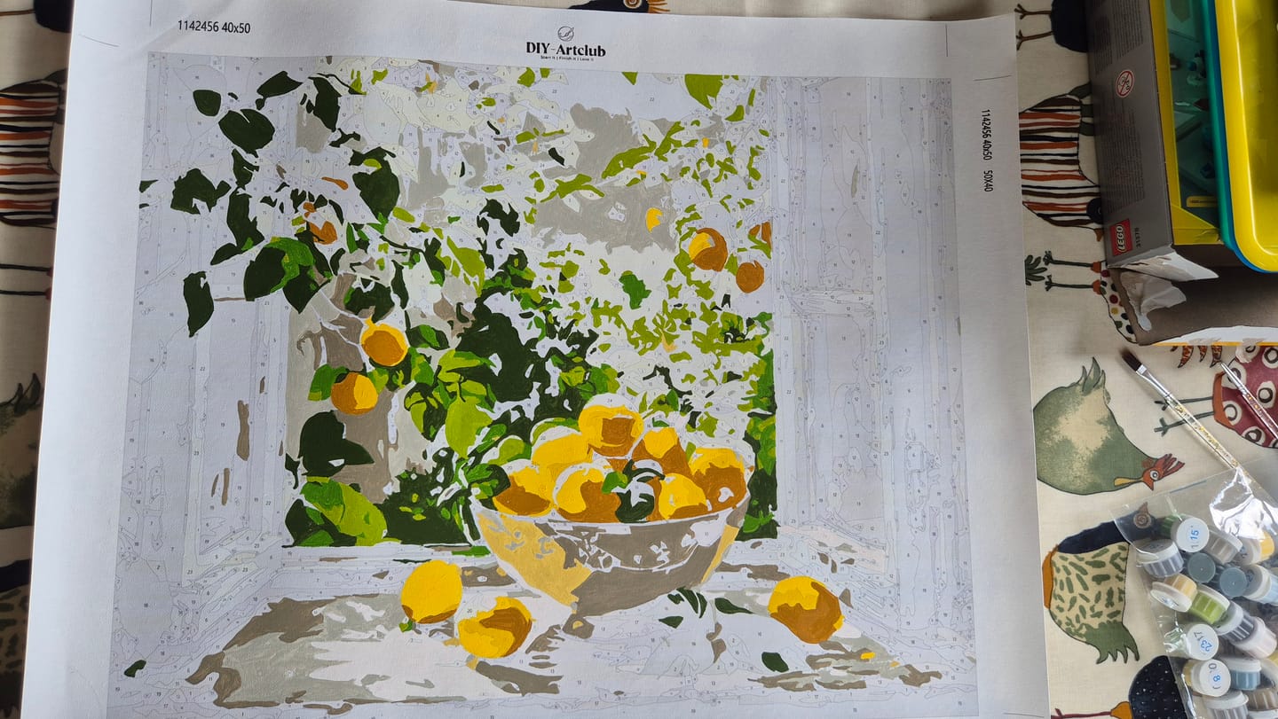 Customer photo review of Lemon Bowl at the Window | Paint by Number