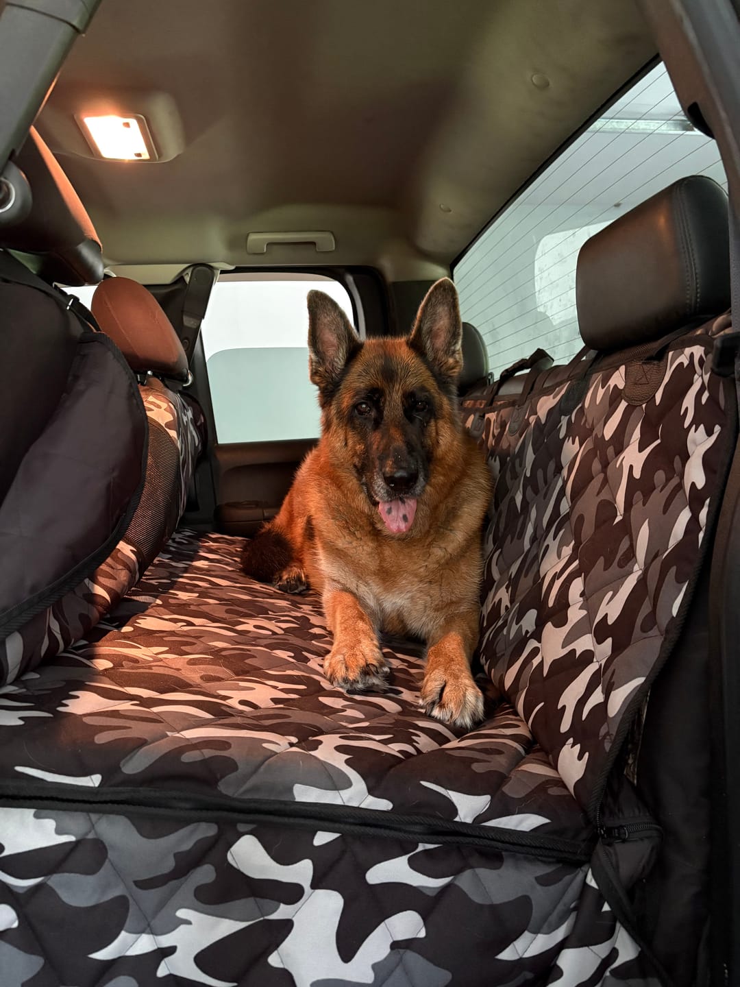 Customer photo review of 4Knines Hard Bottom Extender Car Seat Cover for Dogs - Regular
