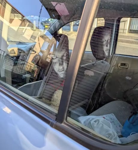 Customer photo review of NightScare™ Headrest Cover
