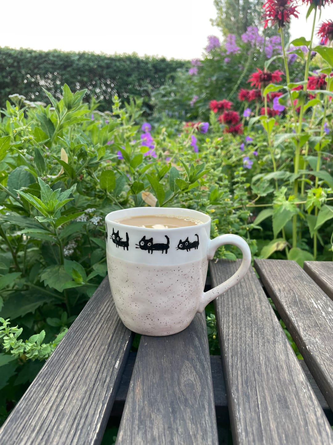 Customer photo review of Katze Tasse Set
