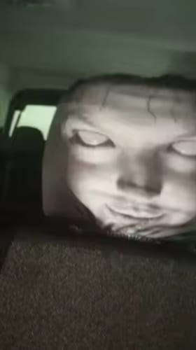 Customer photo review of NightScare™ Headrest Cover