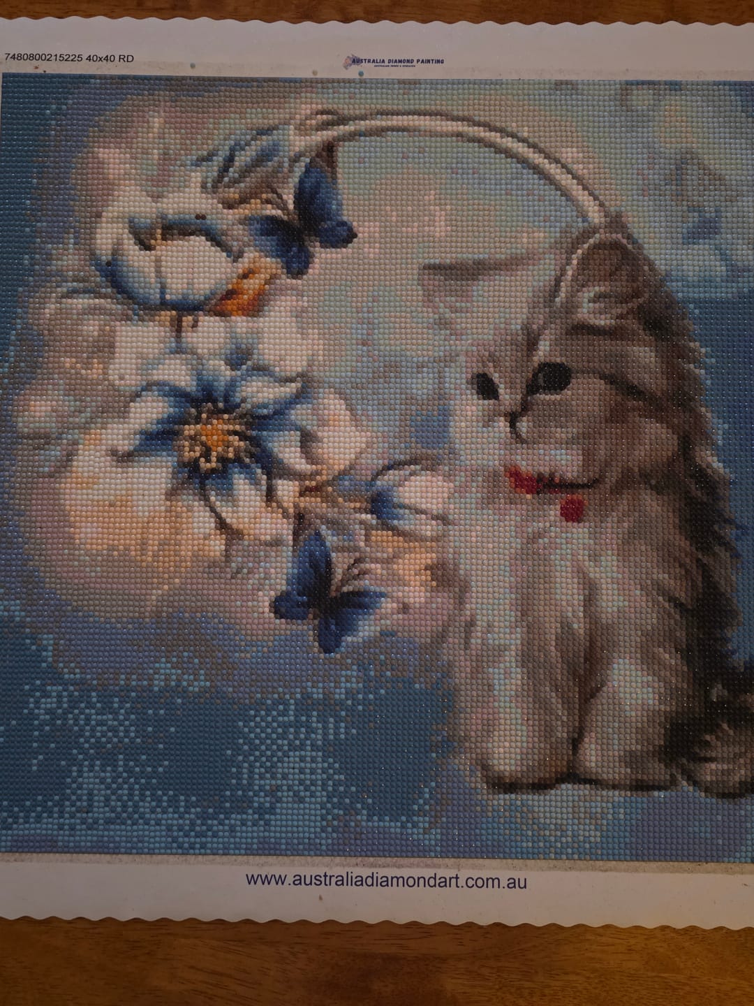 Customer photo review of Full Drill - 5D DIY Diamond Painting Kits Popular Watercolor Cute Cat  Flower Butterfly