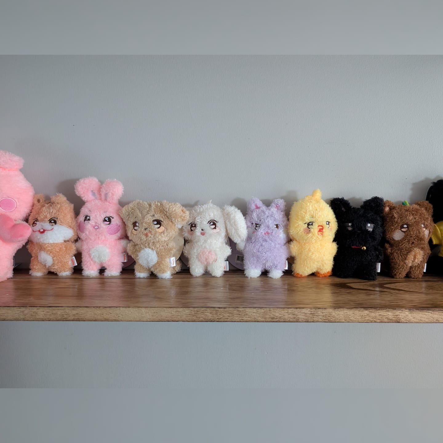 Customer photo review of [ANITEEZ IN TREASURE] MINI PLUSH (PRE-ORDER)