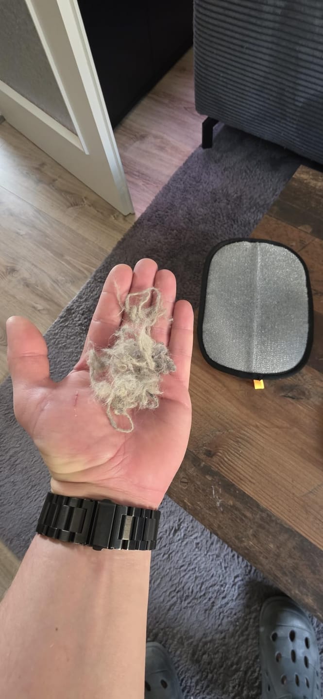 Customer photo review of Aktoclean™️ PawSwipe™️ | Gant électrostatique anti-poils