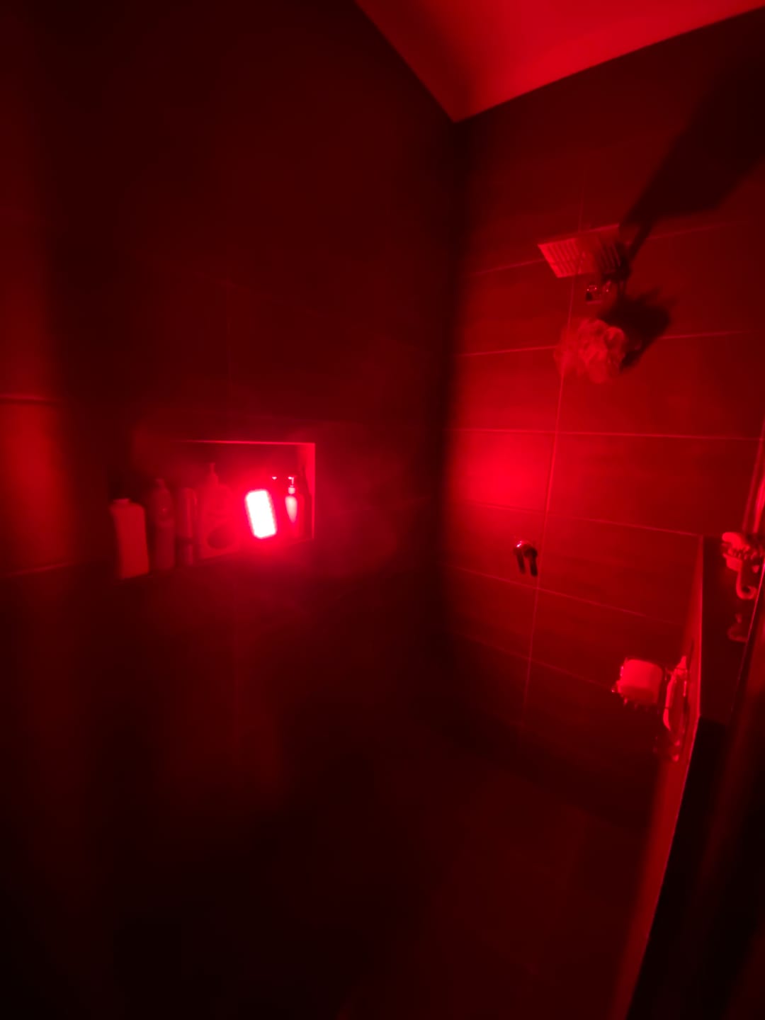Customer photo review of Red & Infrared Light Panel