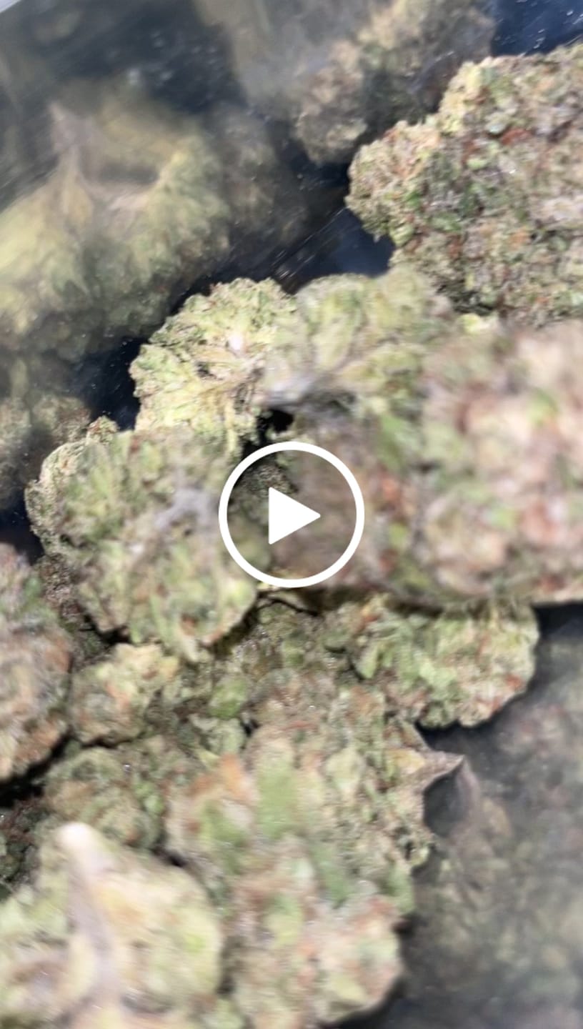 Customer video review of Blue Sharpiez THCA Flower