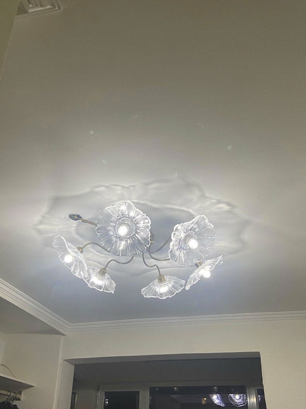 Customer photo review of Ceiling Light, Frosted Leaf Glass Shades, Gold, E27, Lotus Leaf