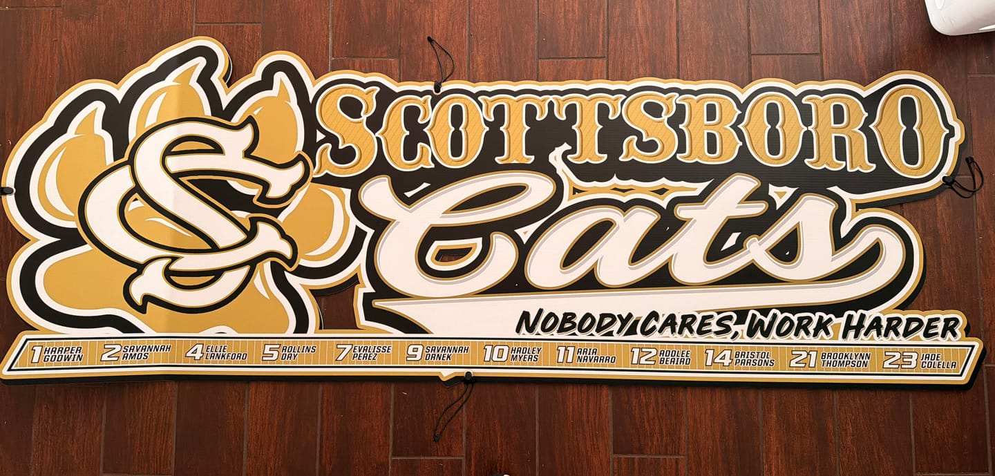 Customer photo review of Dugout Signs