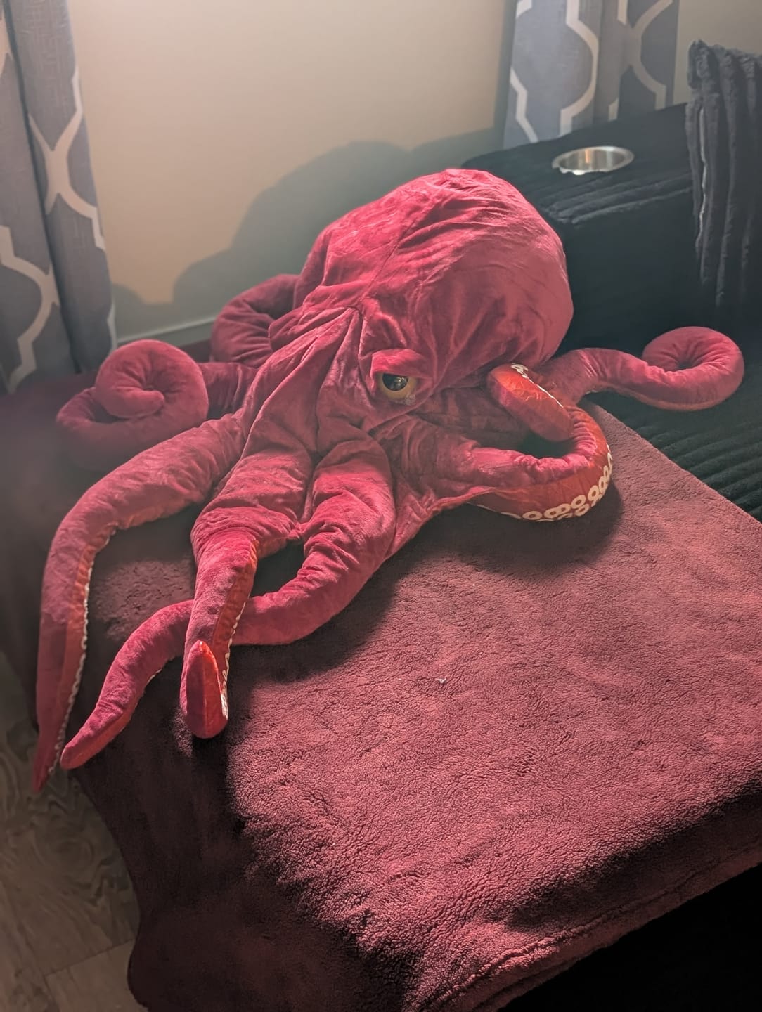 Customer photo review of Red Octopus Soft Stuffed Plush Toy