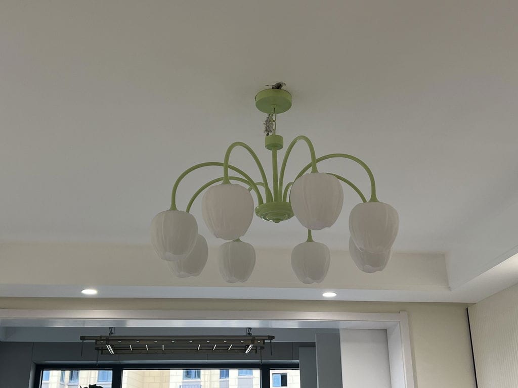 Customer photo review of Tulip Chandelier, White Glass Tulip Shades, Matcha Green Frame, E26