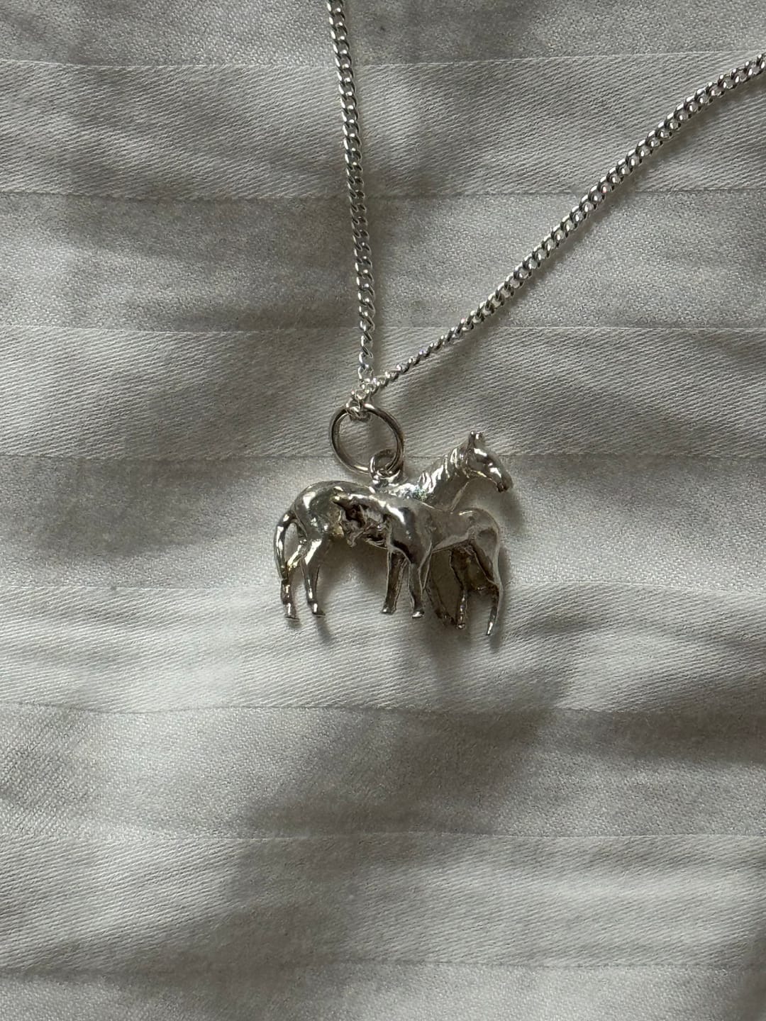Customer photo review of silver charm