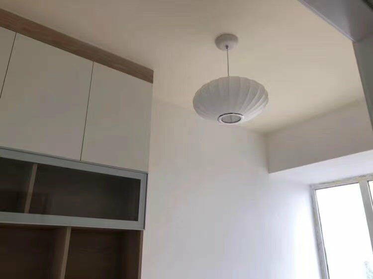 Customer photo review of Pendant Light, Crisscross Bubble, Mulberry Silk, Steel Wireframe, E26