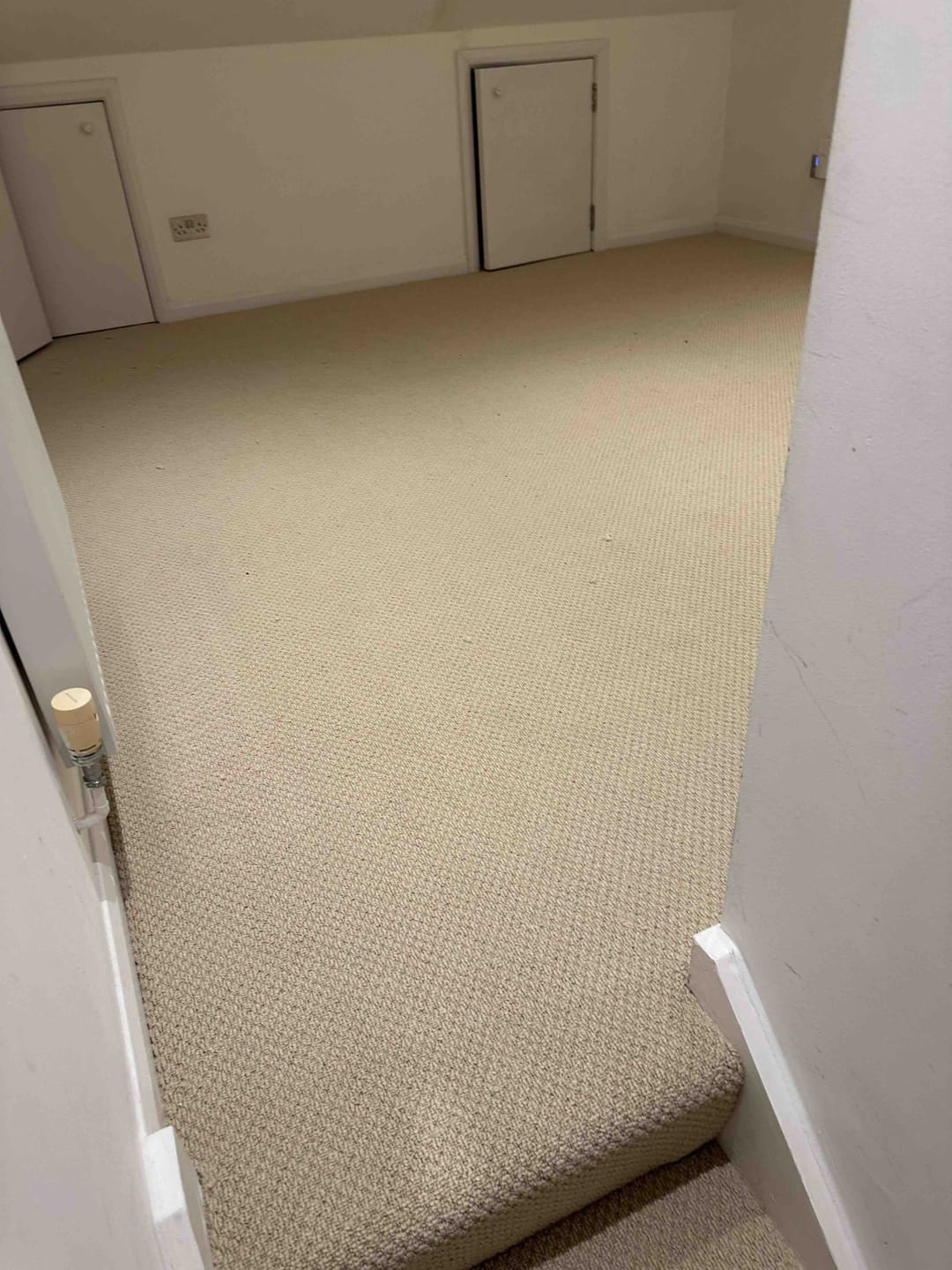 Customer photo review of Fenston Carter Designer Style 100% polypropylene carpet B102 Caramel
