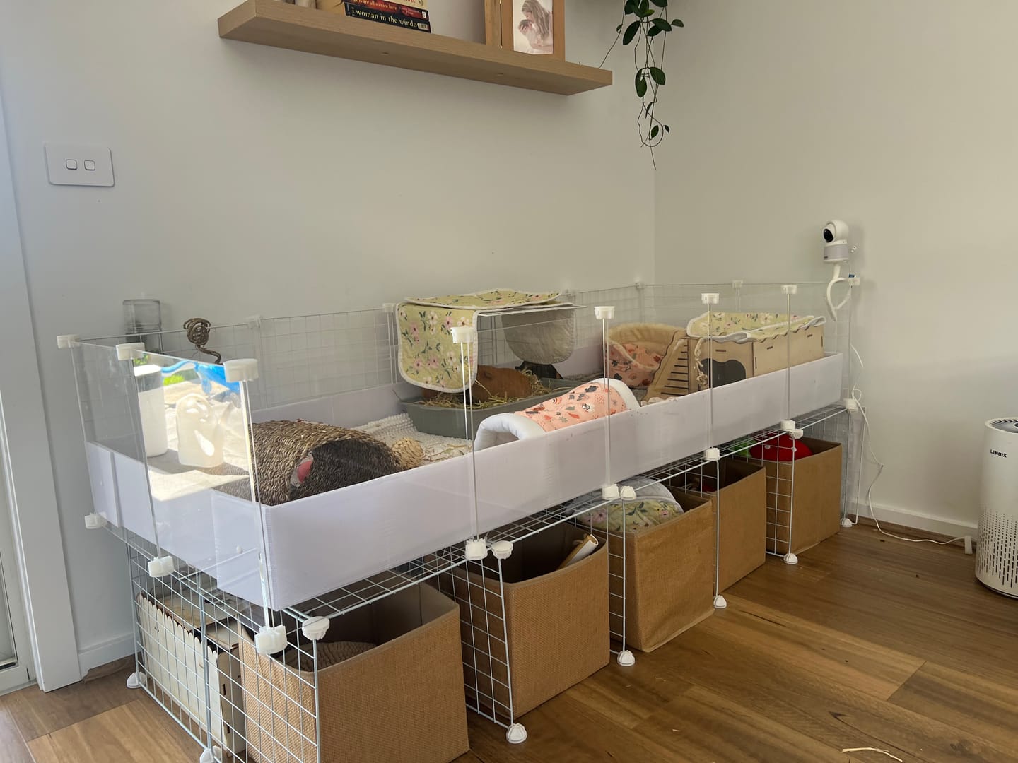 Customer photo review of Ozzy Cages 2x5 C&C Enclosure - Clear Sided