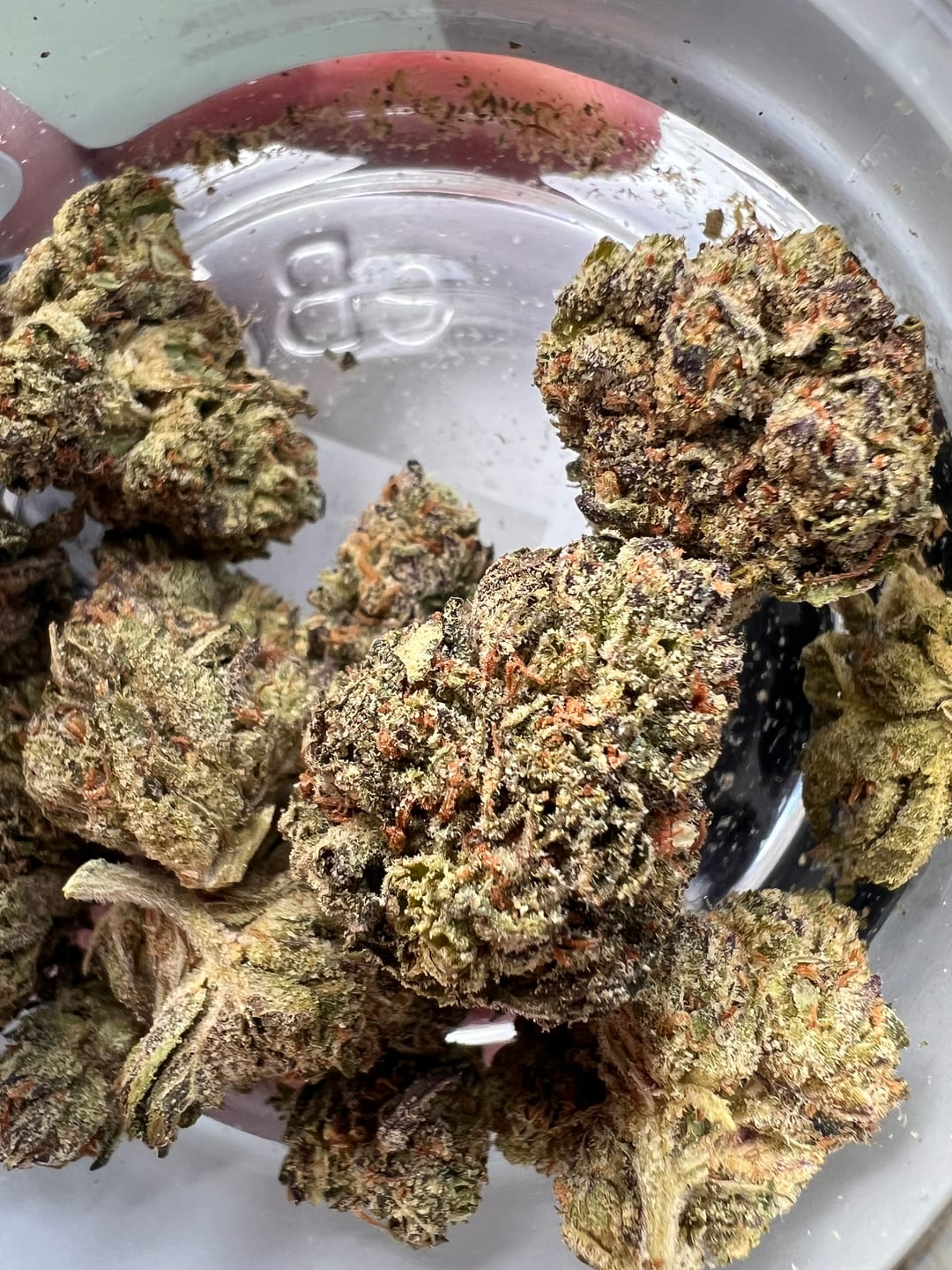 Customer photo review of THCA Queen