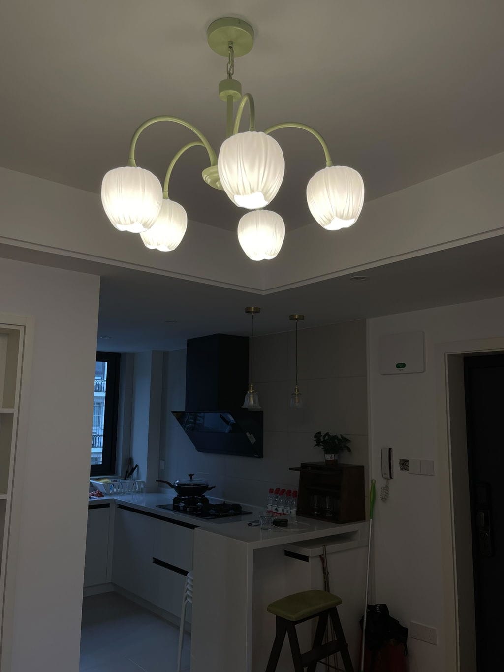Customer photo review of Tulip Chandelier, White Glass Tulip Shades, Matcha Green Frame, E26