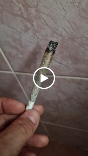 Customer video review of CALI MIX AAA+ – Premium Selection