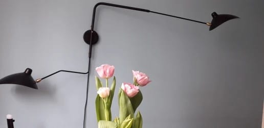 Customer photo review of Wall Sconce, Spider Long-Arm, Rotating Shade, Metal and Brass, E26 / E27