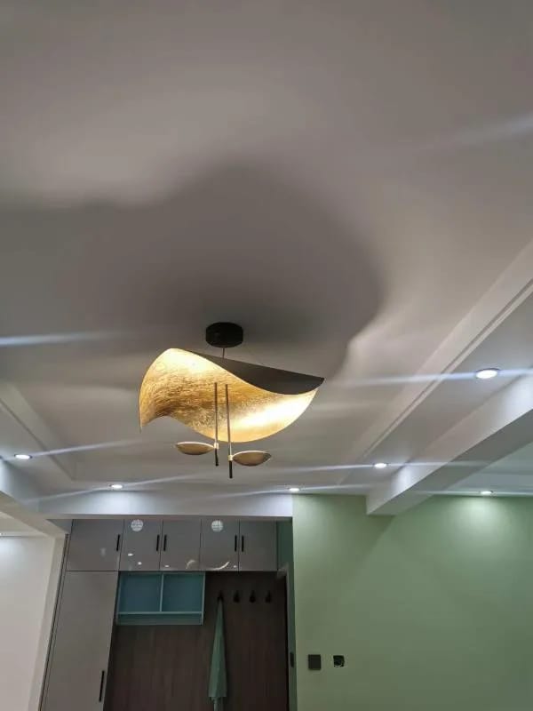 Customer photo review of Giorgio Pendant Light, Curved Disc Shade, Integrated LED, Dimmable