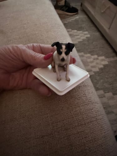Customer's Personalized Pet 3D Figurine held in a hand, showing a detailed small dog on a square base.