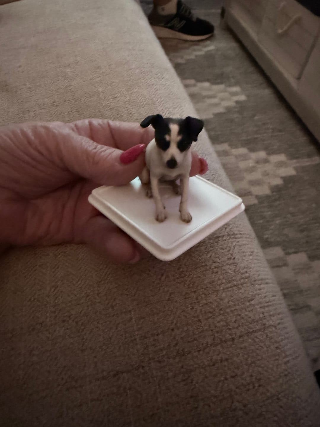 Customer photo review of Personalized Pet 3D Figurine from Photo