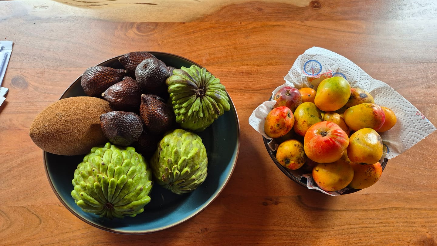 Customer photo review of Salak (Schlangenfrucht) naturbelassen