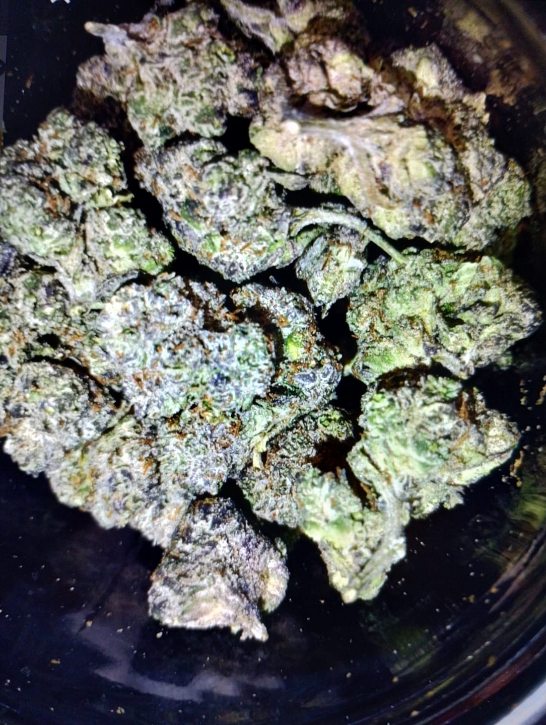 Customer photo review of Ghost Train Haze THCA Flower