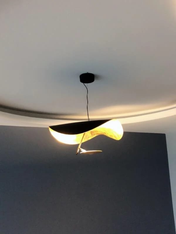 Customer photo review of Giorgio Pendant Light, Curved Disc Shade, Integrated LED, Dimmable