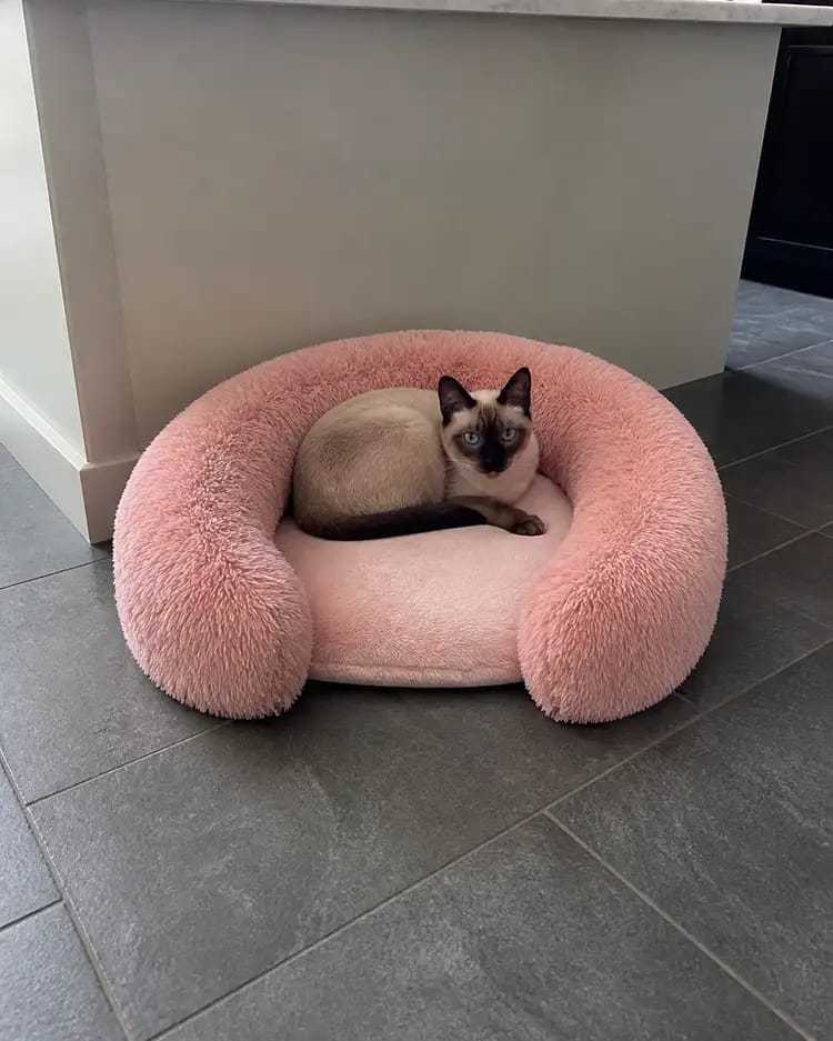 Customer photo review of SnuggleSoft Orthopedic Calming Pet Bed