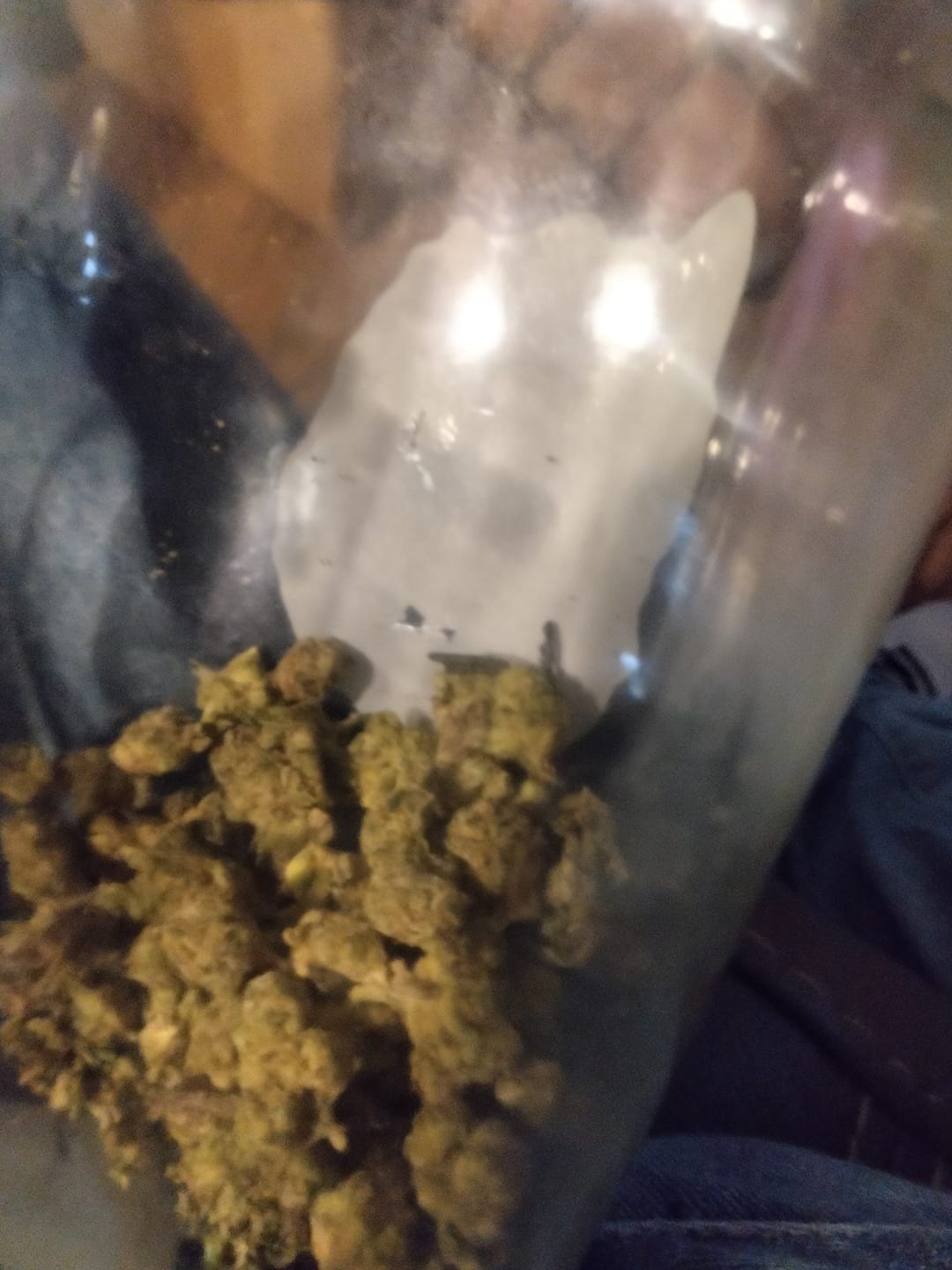 Customer photo review of Blue Sharpiez THCA Flower