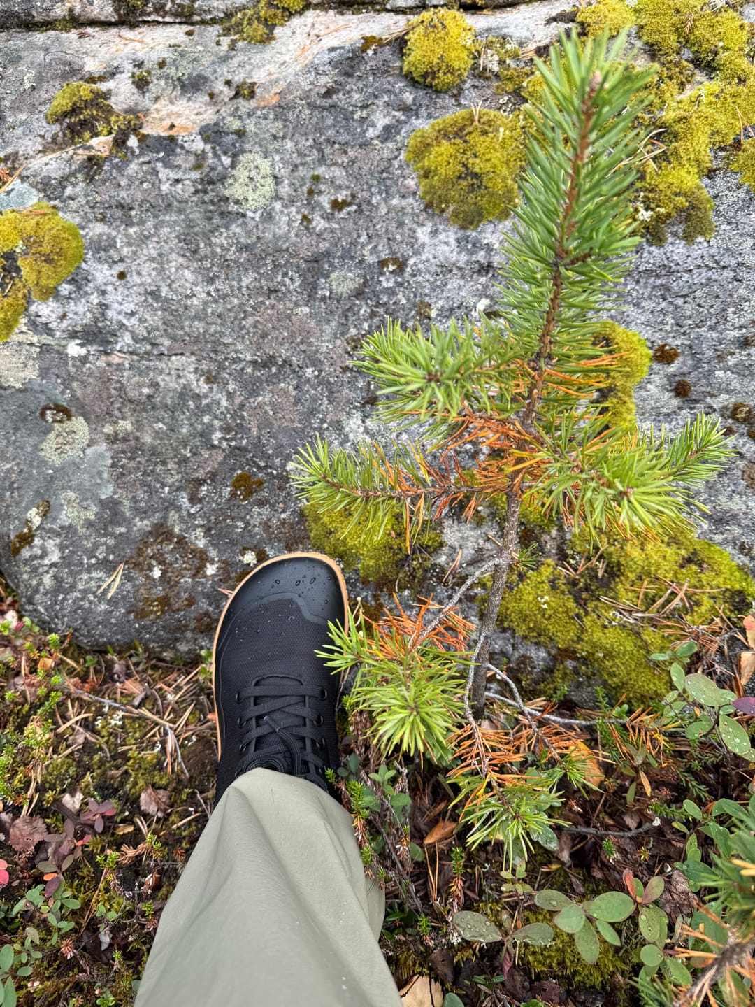 Customer photo review of Vaistoa Tuohi 2 -paljasjalkaretkeilykengät
