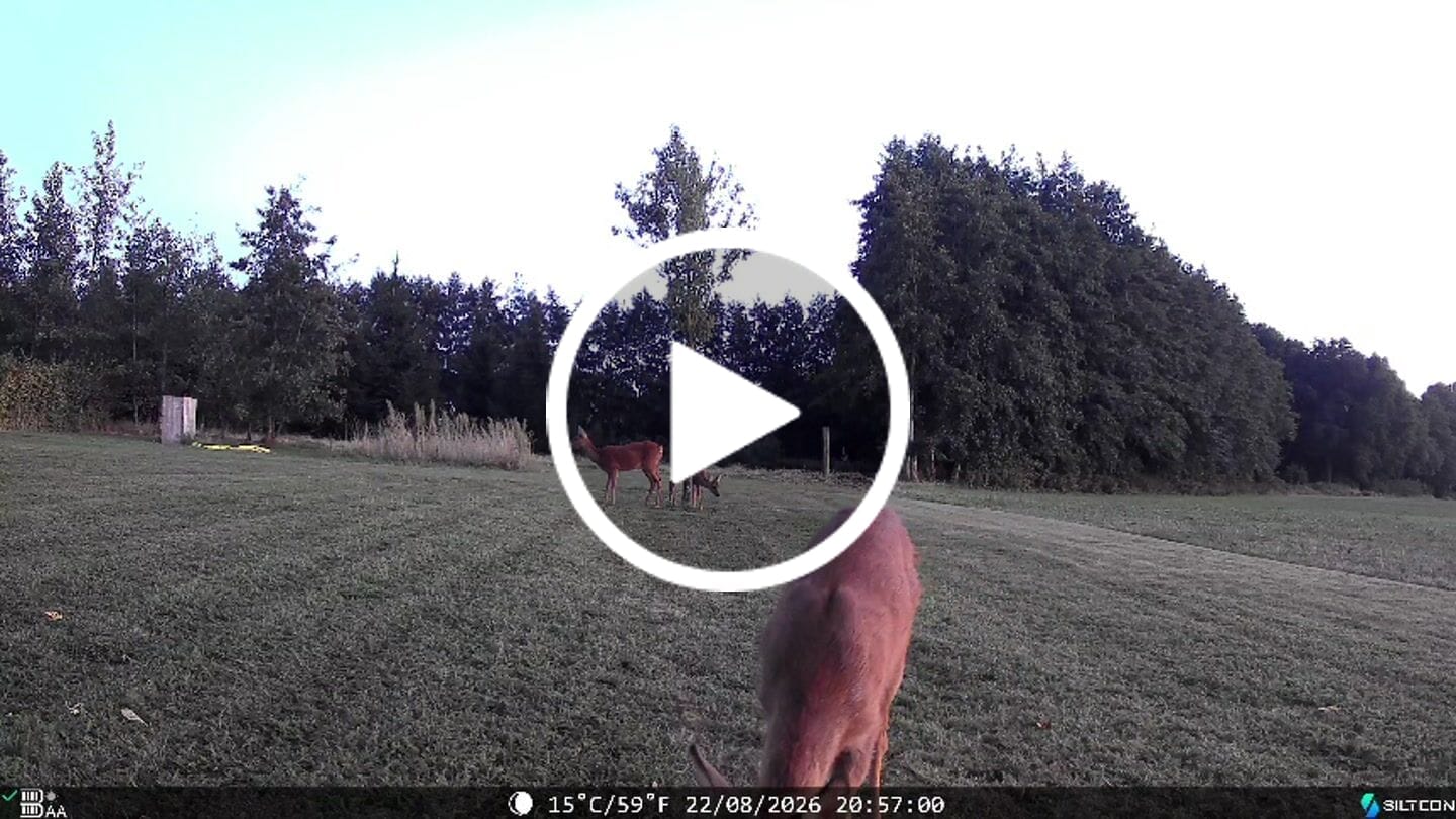 Customer video review of Siltcon® Wildcamera met Zonnepaneel 8K