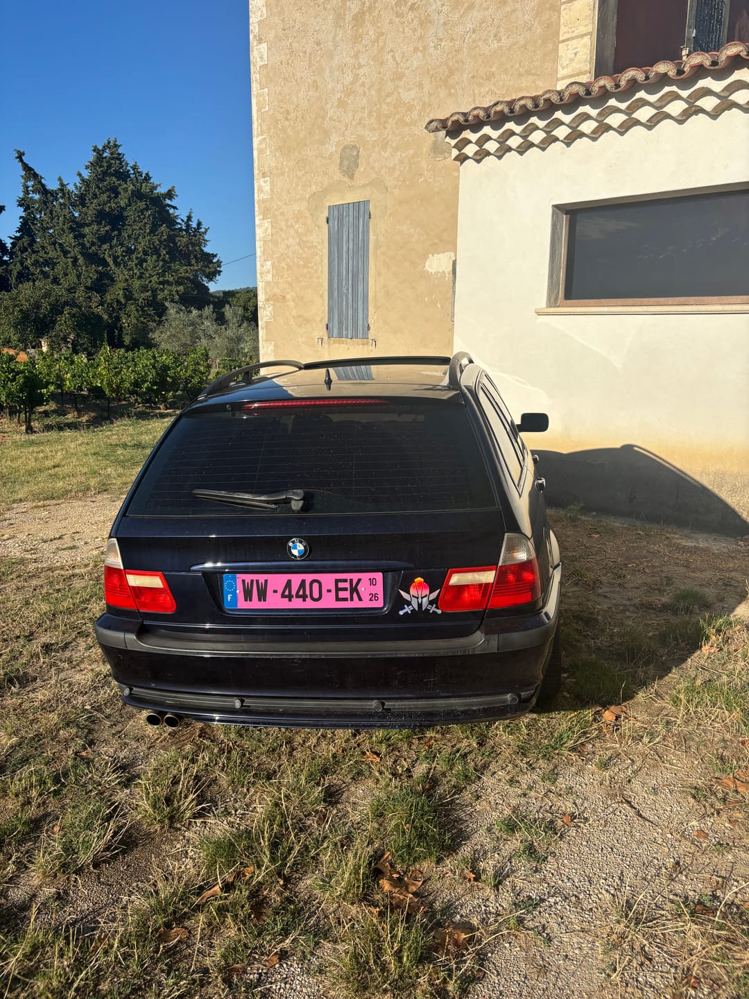 Customer photo review of Plaque rose auto WW