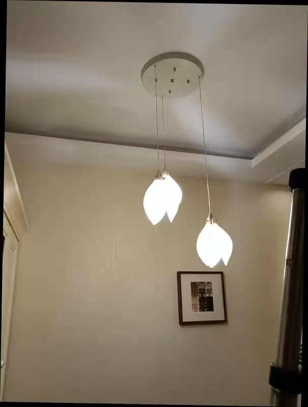 Customer photo review of Pendant Light, Ceramic Flower Shades, Brass & White, G9 LED