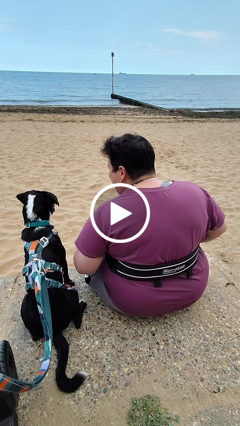 Customer video review of Scramble Harness
