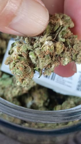 Customer photo review of Northern Lights - 28 Grams - Indica