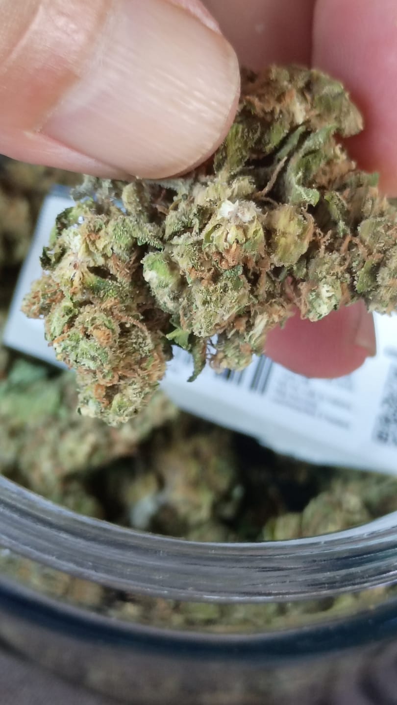 Customer photo review of Northern Lights - 28 Grams - Indica